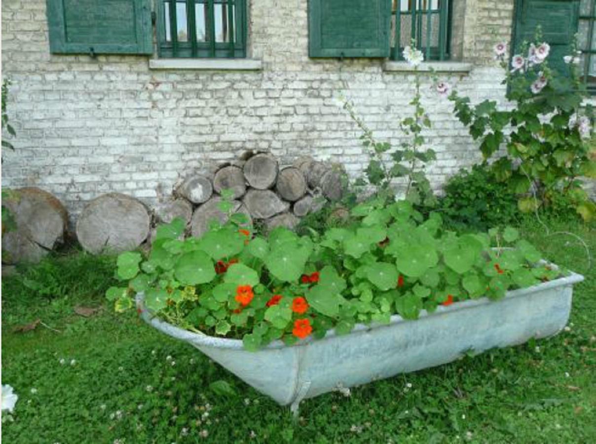 Manoir De Bois En Ardres Bed & Breakfast Екстериор снимка