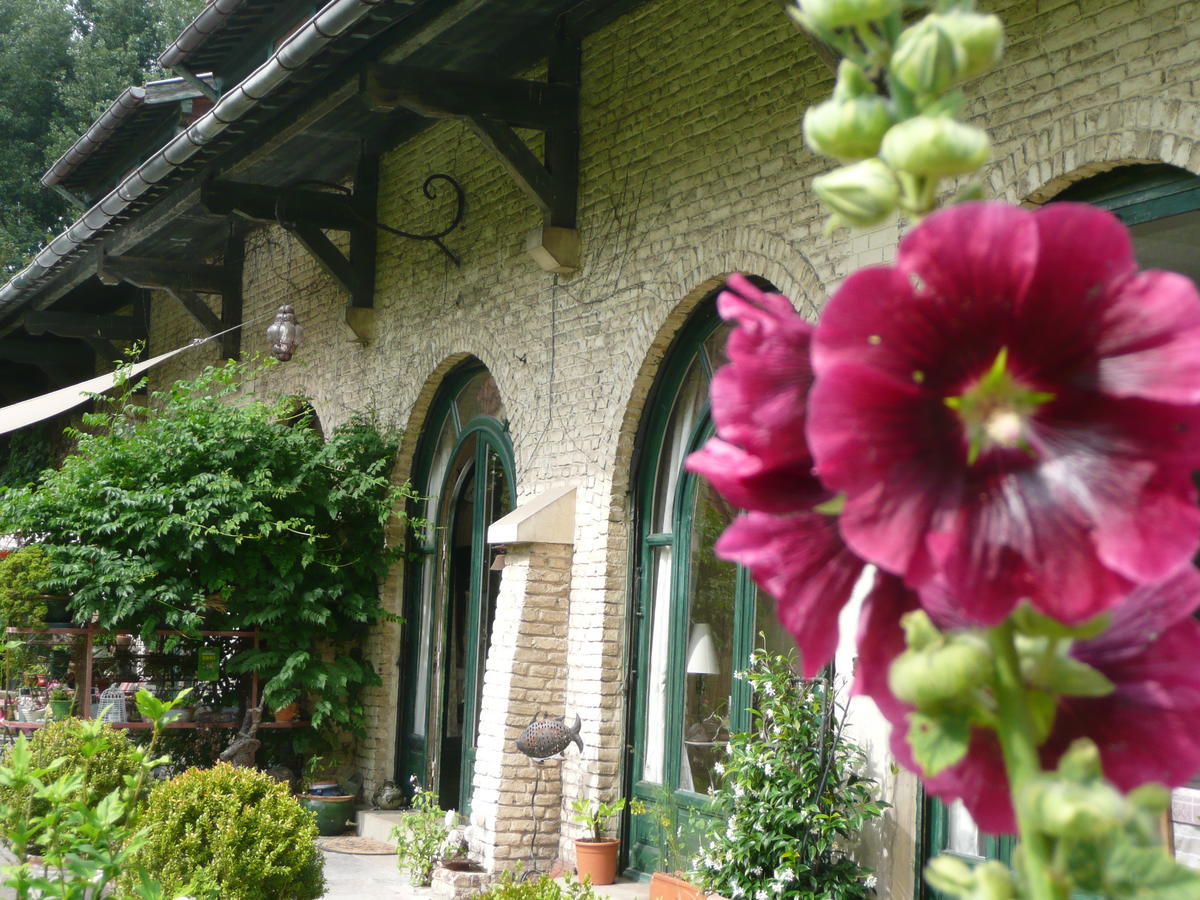 Manoir De Bois En Ardres Bed & Breakfast Екстериор снимка